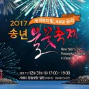 ★송년불꽃축제★ 이미지