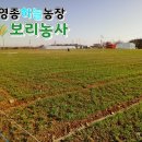 서당골농장 이미지