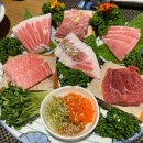 [수원정자동맛집]피지참치/수원참치맛집 룸식당 프라이빗 피지 진 정식 식사후기