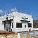 공주애견