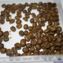 골든컴퍼니 이미지