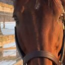 대우목장 1 이미지