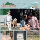 달달민박 이미지