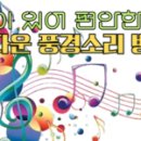 일등은 담채쥐 이미지