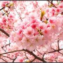 리버티벨 이미지