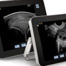 애니메드(ANIMED) 이미지