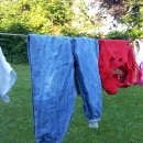 신비세탁 이미지