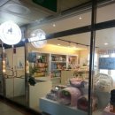 안나 제니 펫샵 | 비트 안나제니펫샵 후기(비트패밀리)