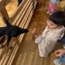 연우목장 이미지