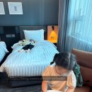 두리애견용품 | 고양 소노캄 호텔, 두리랜드와 찰떡이었던 가족 숙소 후기