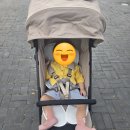 (주)교컴 | [내돈내산 후기] 잉글레시나 퀴드3 루나베이지 유모차 개봉 &amp; 사용후기