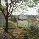 전원향기 이미지