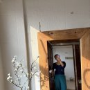 로라펫하우스