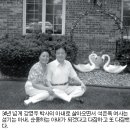 한국 첫 시각장애인 박사 백악관강영우 아내 석은옥 감동수기 이미지