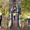 남대문 안경마을 이미지