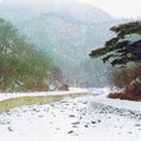 구좌주유소 이미지