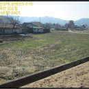 장계면사무소 이미지