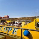 홍해 | 이집트 후루가다 홍해 반잠수함 투어 후기