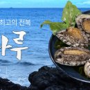 완도곰 이미지