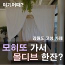 쏘이367