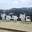 매일월드투어 | 강원도 홍천군 봄 가을 가볼만한 곳 추천장소 알파카월드 방문후기 투어 포인트를 꼭 확인하세요.