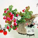 높은음자리 이미지