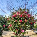 물댄동산 통나무펜션 이미지