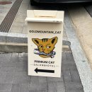 미용재료전문판매샵 | [cat] 남양주 다산 고양이 미용 후기 - 황금산고양이 (무마취, 고양이미용전문, 호텔링 가능!)