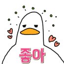 칼콩 칼국수&콩나물국밥