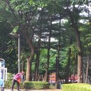 샛마을근린공원 이미지