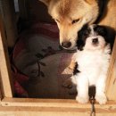 동네농장 이미지