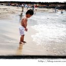 훼밀리펜션 이미지