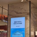 별별간식 | 서면 롯데백화점 팝업스토어 별별간식연구소 후기｜시식 가능한 간식 쇼핑 꿀잼