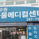 서수원동물병원 네이버블로그