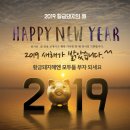 반월동010 | 본갤러리 예쁜소파,원목수납침대,조명침대,책장 구매해 주신 소중한 고객님후기를 모아봤어요♥