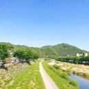 완산-67 | 전주 가볼만한곳 전동성당 청연루 한벽당 최명희문학관 방문후기