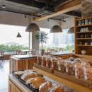 카페 일루아 이미지