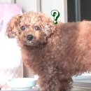납청유기공방