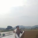 ㅡ 가실끝자락 마늘심기 ㅡ 이미지