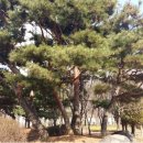 동부그린근린공원2 이미지