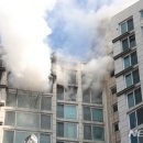 서구-02-105 이미지