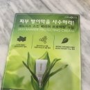 뷰티플렉스피부관리실