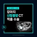신화동물병원 | 부산 종양전문 동물병원 강아지 신장적출 수술 후기