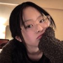 하니캣 이미지