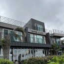 섶섬 아우룸 이미지