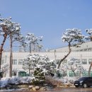전주고등학교 이미지