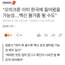 &#34;오미크론 이미 한국에 들어왔을 가능성…백신 물거품 될 수도&#34; 이미지