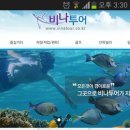 (주)비나투어