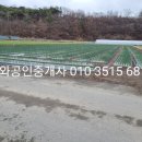 금와부동산중개사무소 이미지