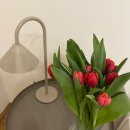 자매하우스민박 | 오스트리아 빈, 비엔나 여성전용, 한인민박, 쑤미이모 게스트하우스, 호텔처럼 전용욕실이 있는 개인룸...